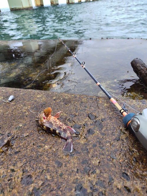 穴釣り、フォーティ