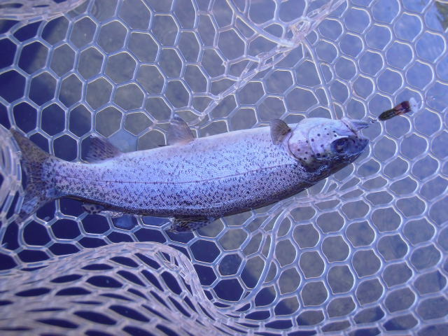 片品川国際鱒釣場さんでワンキャスト、ワンヒットを堪能したもう一つのルアー