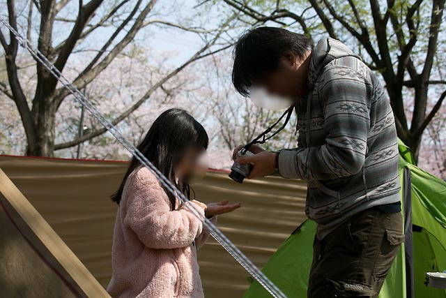 桜とブルームーンの下で。茎崎こもれび六斗の森 ② 〜夜桜編〜