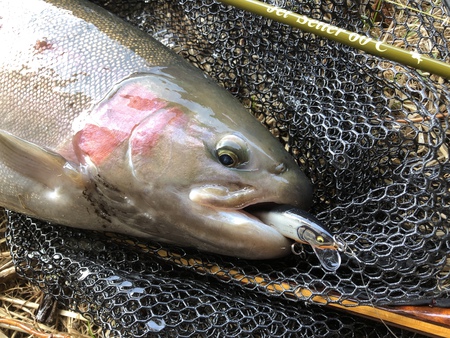 自然豊かなネイティブトラウトの宝庫 北海道を釣る フッキングとドラグ調整