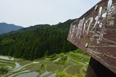 こっけ苔の山犬嶽 2020/05/30 22:27:00