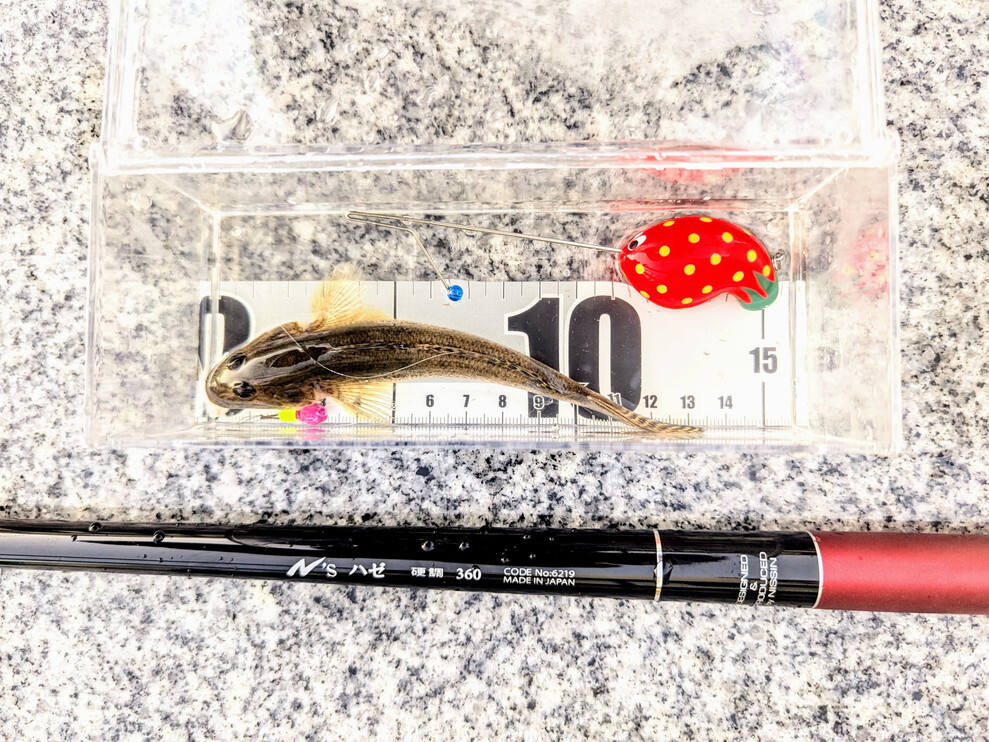 ハゼ釣り始めました。:宇崎日新 「N's ハゼ 360」のうろこ付けをしてき