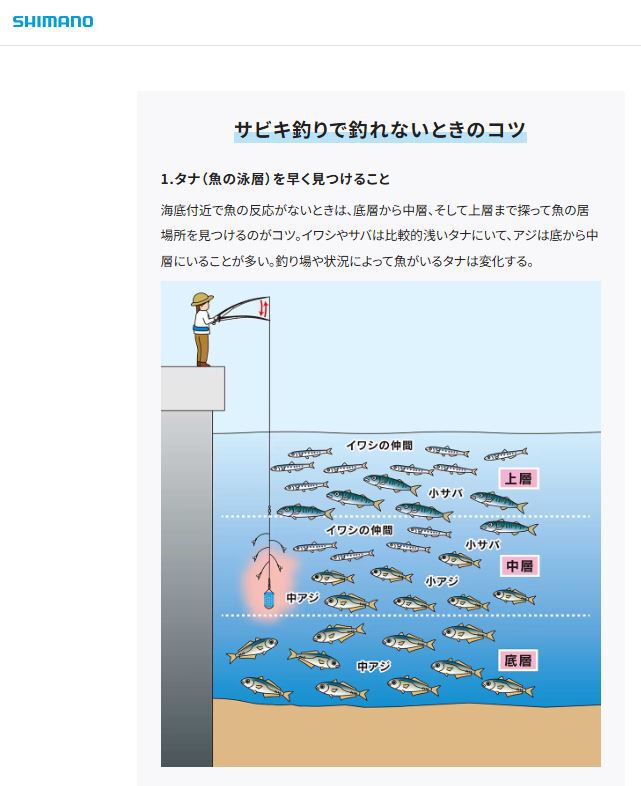若洲海浜公園にサビキ釣りに出掛けてきました。