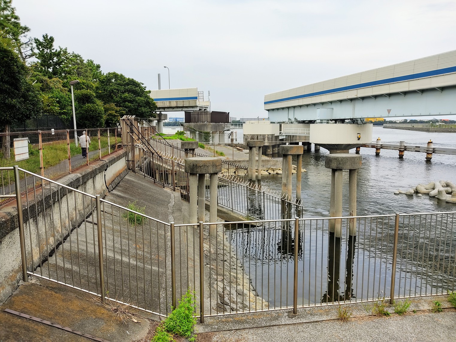 2020年 13回目のハゼ釣りは、… 入れ食いでした。