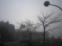 やぶっちゃ　2013年11月23日～24日　その2