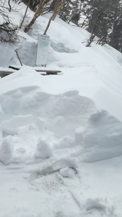 山の上は