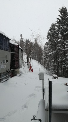 雪のあと 2019/04/11 16:57:21