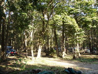 ソロキャンプ２ 2007/11/04 16:07:00