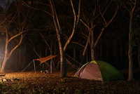 ソロキャンプ　「再会と発見と・・」 2008/10/05 15:41:43