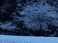 雪中キャンプ 2008/02/11 18:28:52
