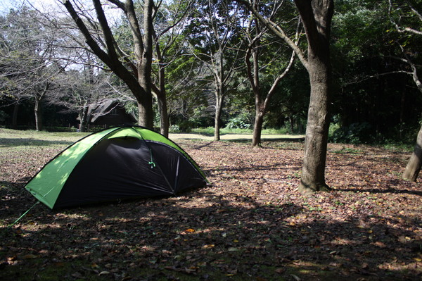 ソロキャンプ　「再会と発見と・・」
