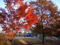 出会いの森総合公園ＡＣ　完結 2007/12/03 22:27:37