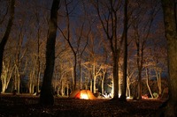 「Ｃａｍｐｍａｎｓのセカイ・・・　後編」 2008/12/23 10:31:19