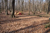 「ｃａｍｐｍａｎｓのセカイ・・・前篇」 2008/12/21 19:49:35