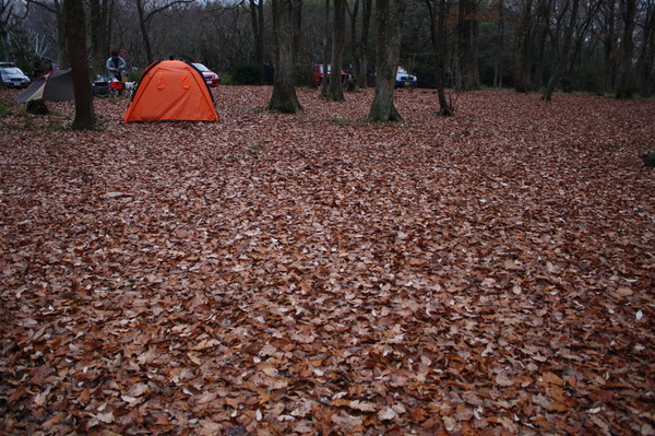 「ｃａｍｐｍａｎｓのセカイ・・・前篇」