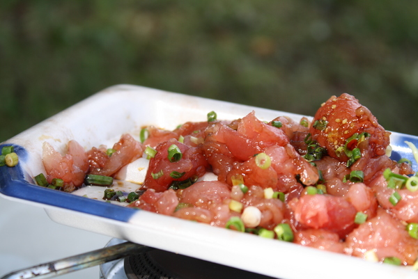 ソロキャンプ　「定点観測」