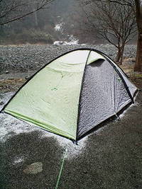 雪？ 2008/02/09 15:24:23