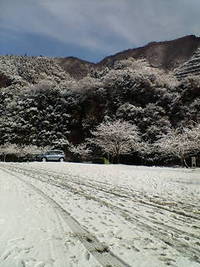 雪 2008/02/10 09:02:50