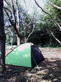 こもれびの… 2008/10/04 12:21:28