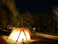キャンプのキオク・・・ 2008/07/12 23:34:03