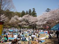 清水公園オートキャンプ場 2008/04/06 20:30:43