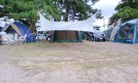 夏キャン総括