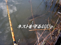 感傷かなぁ