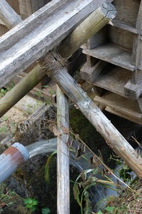 立山黒部ｱﾙﾍﾟﾝﾙｰﾄ☆Photogallery