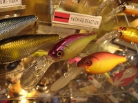 ☆FS大阪2008☆