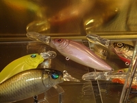 ☆FS大阪2008☆