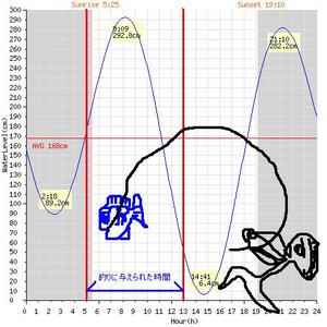 日曜は大島