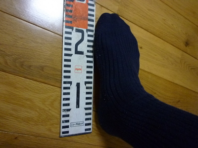 アシ　24.5cm　zenzo