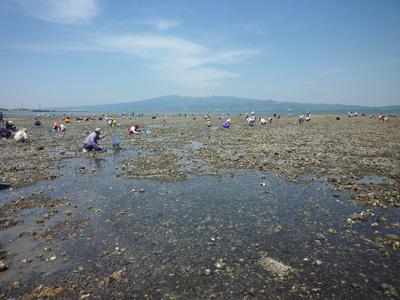 島原遠征