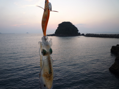 イカくった
