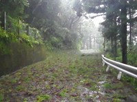 マーゴンさんがやってきた。。。 2011/07/19 11:47:20