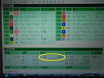 今日はこれで。